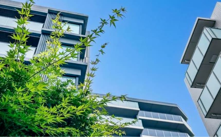 青空の下に建つ現代的なマンションと、その手前にある青々とした木の葉。高層住宅の一部
